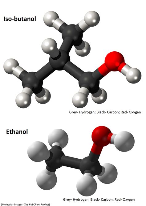 Isobutanol:  Un Solution Intrigante Pour les Plastiques Biodégradables et les Solvants Verts ?